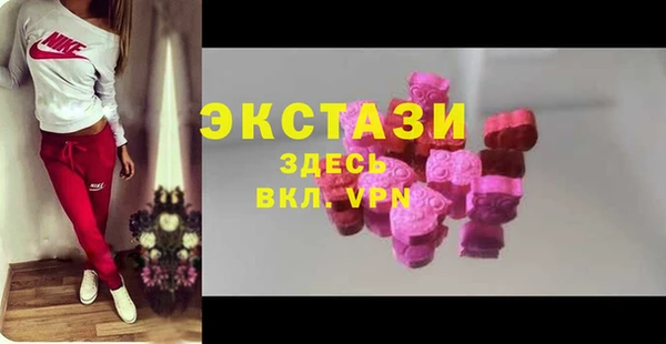 ECSTASY Ельня