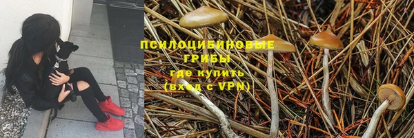 дмт Протвино