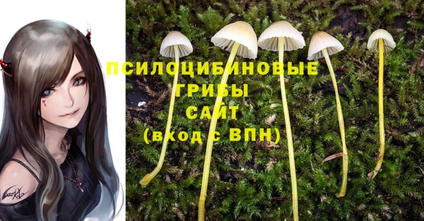 метадон Покров