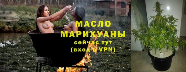 дмт Протвино