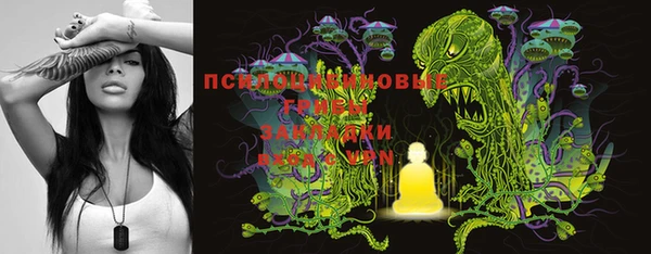 прущие крисы Покровск